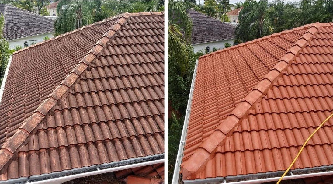 roof-painting